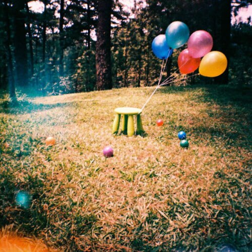 HOLGA 120TLR / 120 TLR Twin Lens Reflex Medium Format Film Camera