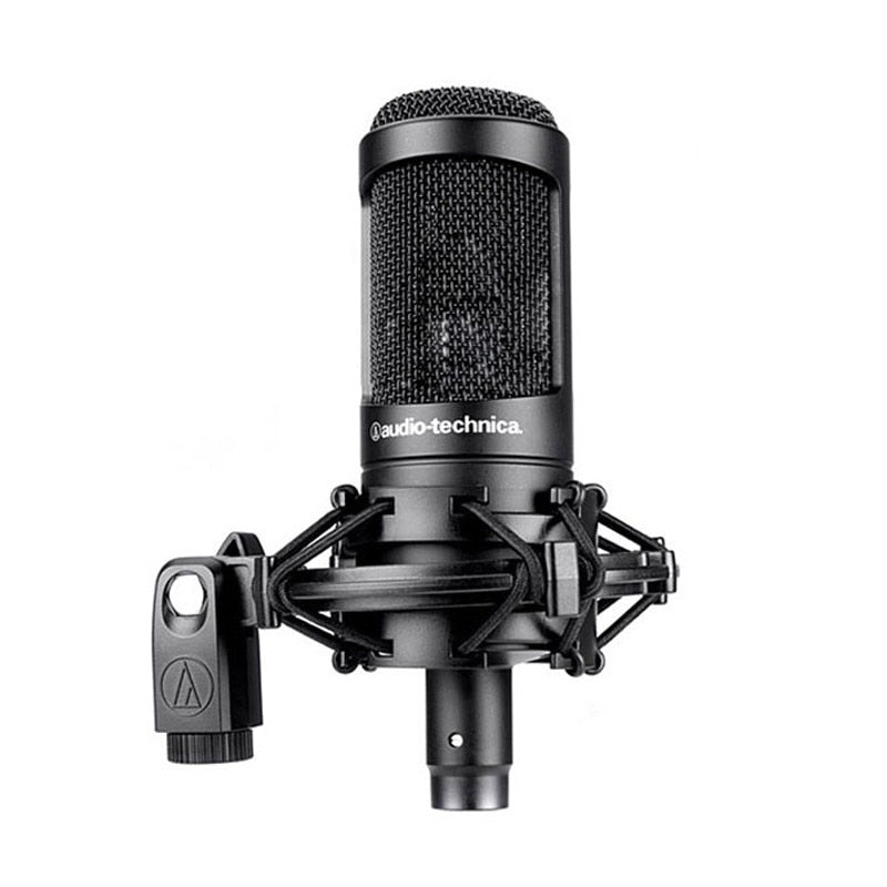 Audio Technica AT2035 Sing Karaoke Artifact Recording Microphone