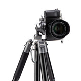 Fotopro Free-1 Compact Monopod Travel Portable Tripod for Camera Smartphone