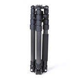 Benro C2690TB1 Professional Carbon Fiber Tripod for Camera with B1 Ball