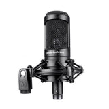 Audio Technica AT2035 Sing Karaoke Artifact Recording Microphone