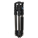 BENRO GC169TV1 Go Travel Portable Digital Camera Tripods Kit