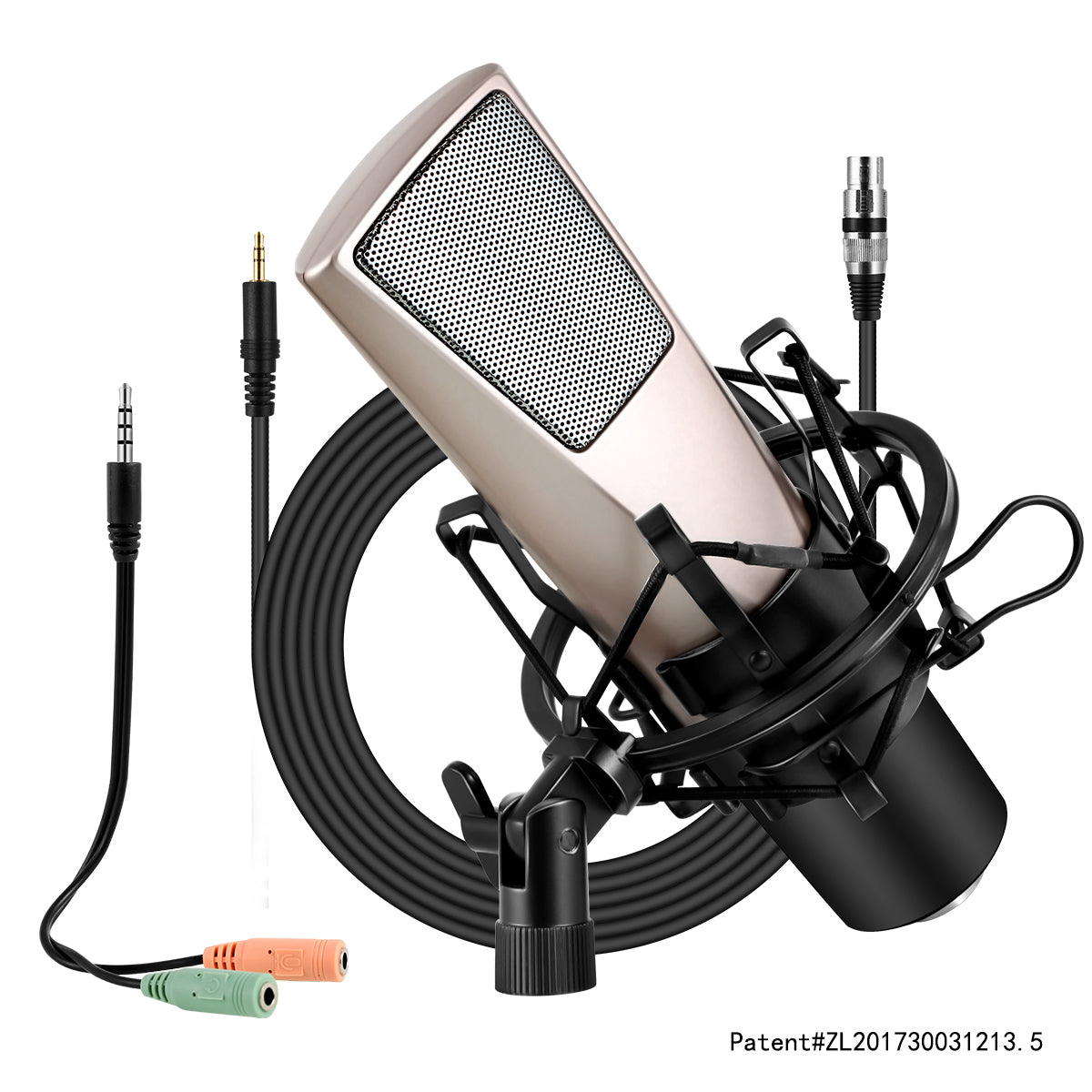 Yanmai Q6 Professional condenser USB Streaming Microphone Set