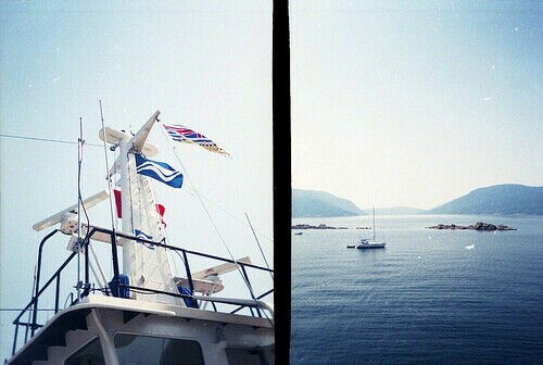 Holga 135TIM Twin 3D Half Camera Lomo Film Camera