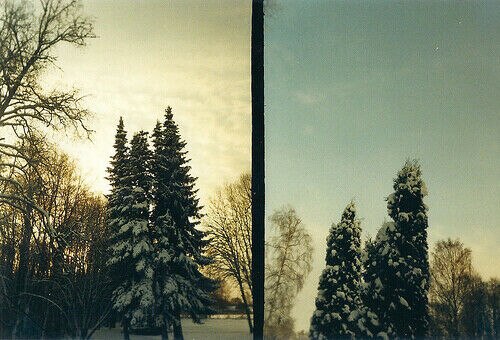 Holga 135TIM Twin 3D Half Camera Lomo Film Camera