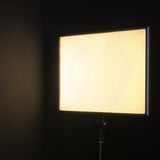 Nanlite LumiPad 25 Pro LED Photo Video Light