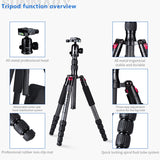 Manbily CZ-305 61'' DSLR Travel Carbon Fiber Tripod