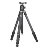 Marsace MT-2542+XB-2R Special-shaped Central Axis Carbon Fiber Tripod