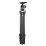 Marsace MT-2542+XB-2R Special-shaped Central Axis Carbon Fiber Tripod