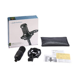 Audio Technica AT2035 Sing Karaoke Artifact Recording Microphone