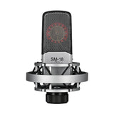 Takstar SM-18PRO Super Cardioid Recording Microphone