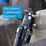 XILETU X284C+LG44 Professionelles Fotografie-Stativ aus Kohlefaser 